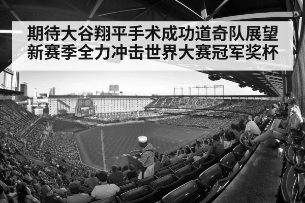 baseball stadium crowd
