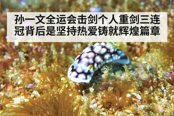 孙一文全运会击剑个人重剑三连冠背后是坚持热爱铸就辉煌篇章