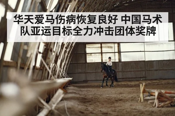 华天爱马伤病恢复良好 中国马术队亚运目标全力冲击团体奖牌